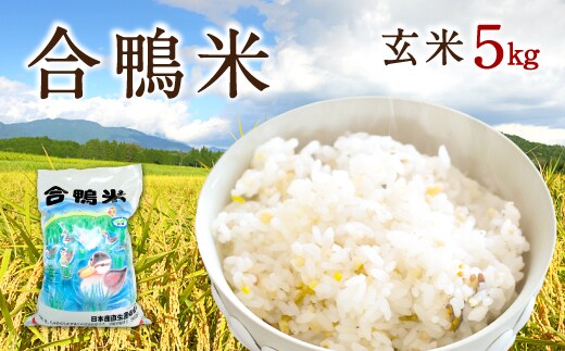 〈令和7年産〉合鴨米 玄米 5kg【2025年10月上旬~2026年10月上旬発送予定】