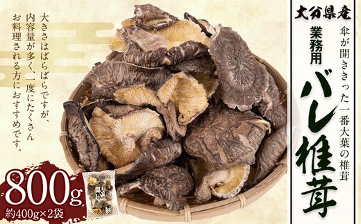 大分県産 原木栽培 乾しいたけ 業務用 バレ椎茸 お徳用 約800g (約400g×2袋) FBR26