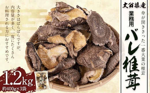 大分県産 原木栽培 乾しいたけ 業務用 バレ椎茸 お徳用 約1200g(約400g×3袋) FBR40