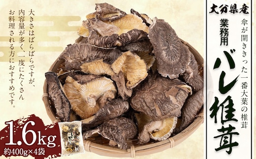 大分県産 原木栽培 乾しいたけ 業務用 バレ椎茸 お徳用 約1600g (約400g×4袋) FBR53