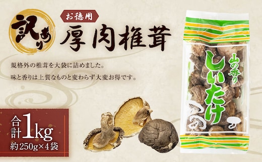 【訳あり】 お徳用 厚肉椎茸 約1000g (約250g×4袋) FPB39