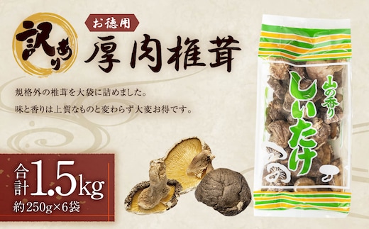 【訳あり】 お徳用 厚肉椎茸 約1500g (約250g×6袋) FPB75