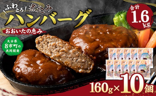 おおいたの恵み ハンバーグ 1.6kg(160g×10個) 個包装 牛肉 豚肉 惣菜