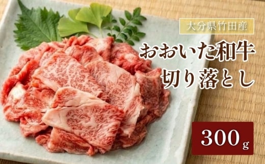 大分県竹田産 おおいた和牛 切り落とし 【300g】