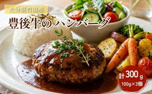 大分県竹田産 豊後牛の ハンバーグ 【100g×3個】