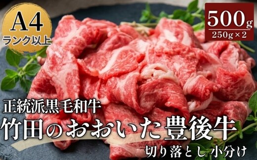 正統派黒毛和牛 おおいた豊後牛 切り落とし 500g 小分け