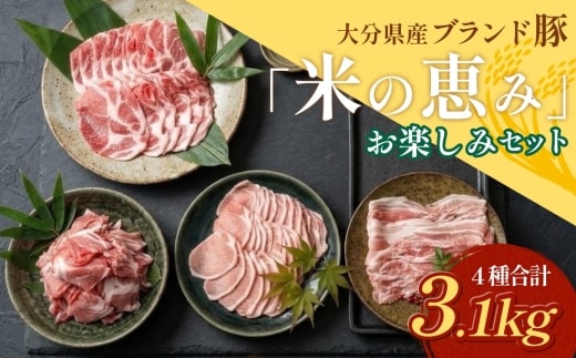 大分県産 ブランド豚 「米の恵み」お楽しみセット 計3.1kg 豚肉 小分け