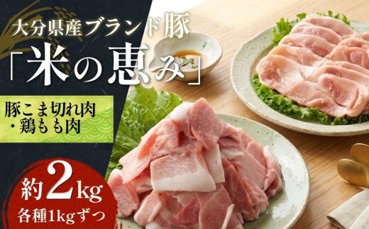 大分県産ブランド豚「米の恵み」・鶏肉 2種 カット済・スライスセット 2.0kg 豚肉 こま切れ