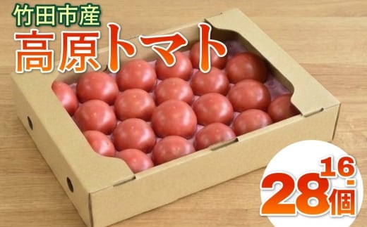 【竹田市産】高原トマト 16～28個 【2026年5月下旬-2027年1月上旬発送予定】