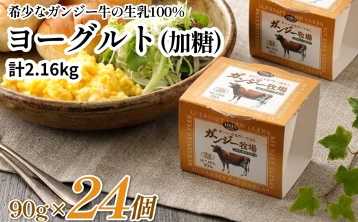 希少なガンジー牛の生乳100% ヨーグルト(加糖) 90g×24個セット