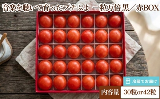 音楽を聴いて育ったプチぷよ??一粒万倍 黒／赤BOX【30粒or42粒】