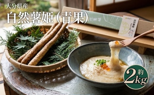 自然薯姫 （青果） 約2kg 【発送不可期間:毎年4月下旬-11月上旬】