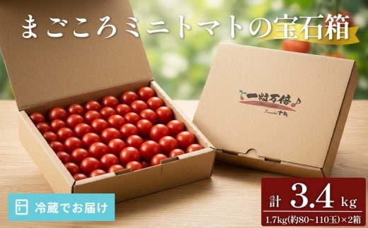まごころミニトマトの宝石箱 1.7kg(約80～110玉)×2箱 計3.4kg サンチェリーピュア