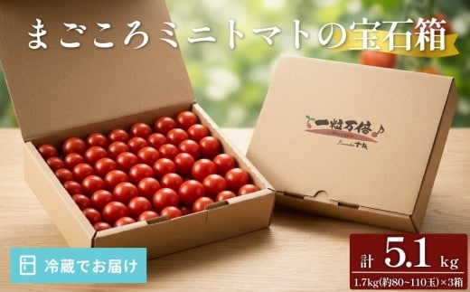 まごころ ミニトマト の宝石箱 1.7kg(約80～110玉)×3箱 計5.1kg