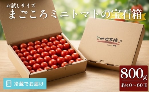 お試しサイズ まごころミニトマトの宝石箱 800g (約40～60玉) サンチェリーピュア