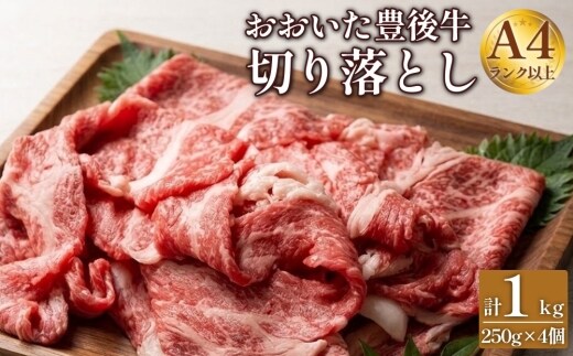 正統派黒毛和牛 おおいた豊後牛 切り落とし 1000g 小分け