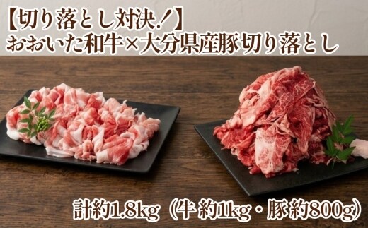 【切り落とし対決！】 おおいた和牛切り落とし 約1kg（約500g×2）と大分県産「米の恵み」