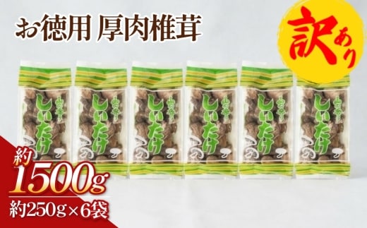 【訳あり】 お徳用 厚肉椎茸 約1500g （約250g×6袋） FPB75