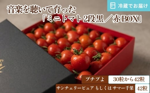 音楽を聴いて育った 「ミニトマト 2段 黒／赤 BOX」
