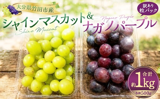 【数量限定】粒パック 訳あり シャインマスカット(約500g)&ナガノパープル(約500g) 計約1kg (各1パック)【2026年8月下旬-11月上旬発送開始予定】