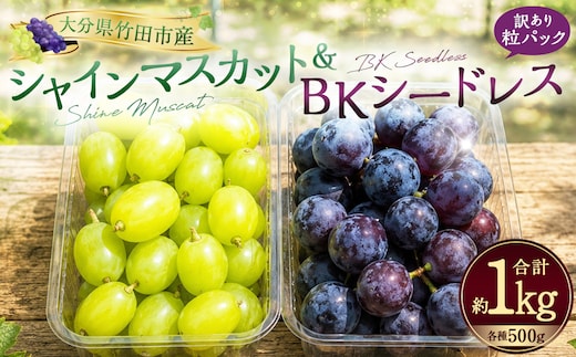 【数量限定】 粒パック 訳あり シャインマスカット (約500g) & BKシードレス (約500g) 計約1kg (各1パック) 【2026年8月下旬~11月上旬発送開始予定】