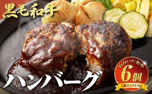 【黒毛和牛】おおいた和牛ハンバーグ 計約1.02kg(約170g×6個)