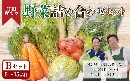 その時期の一番美味しいをお届け! 竹田育ちの 「野菜詰め合わせセット」 B