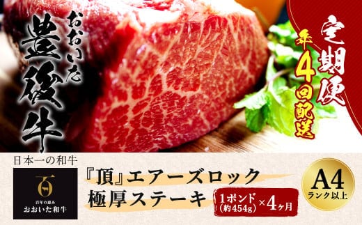 年4回 定期便 おおいた 豊後牛 1ポンド エアーズロック極厚ステーキ 約454g
