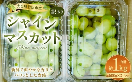 【数量限定】粒パック 訳あり シャインマスカット 約1kg (2パック) 【2026年8月下旬~11月上旬発送開始予定】