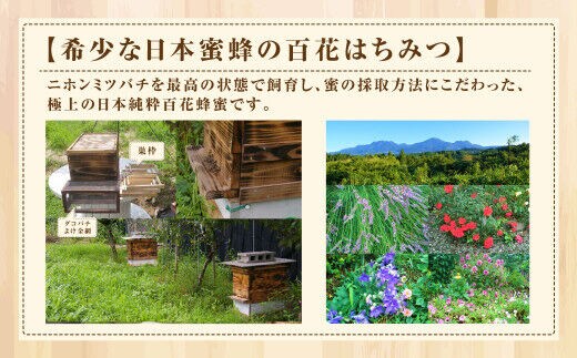 国産はちみつ】 日本純粋百花蜂蜜「森の蜜」 300g×1本・パッカー容器