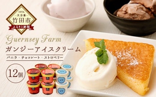 ガンジーアイス 12個セット(バニラ、チョコ、ストロベリー)