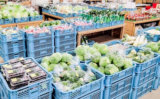 その時期の一番美味しいをお届け! 竹田育ちの 「野菜詰め合わせセット」 B