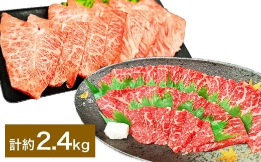 【赤身 VS ミスジ 食べ比べ!】 おおいた和牛 赤身焼肉 ・ ミスジ焼肉 各約1.2kg(約400g×3) 計約2.4kg