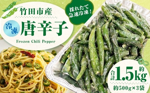 採れたて急速冷凍! 竹田市産 冷凍唐辛子 約500g × 3袋 ( 計約1.5kg ) 【 2026年8月下旬から順次発送予定 】