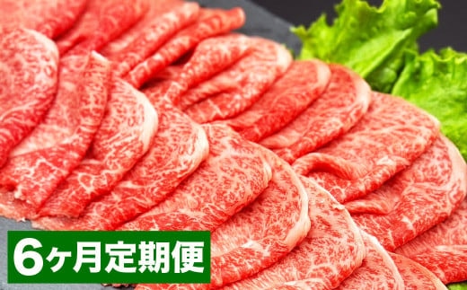 【6カ月定期便】 おおいた和牛 赤身 スライス 約400g 計約2.4kg