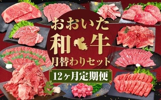 【12ヶ月定期便】毎月替わるおおいた和牛セット!12ヶ月おおいた和牛月替わり 計約4.8kg