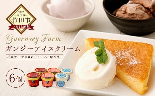 ガンジーアイス 6個セット(バニラ、チョコ、ストロベリー)