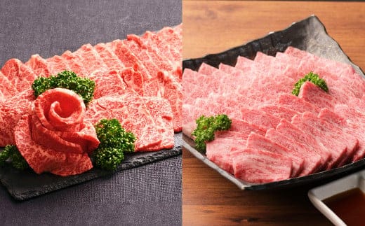 おおいた和牛 食べ比べ セット B( 上カルビ & 上ロース )(合計約 400g )2~3人前