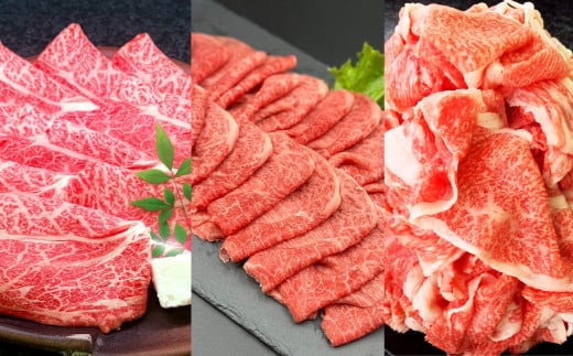 【3ヶ月定期便】毎月違うセットが届く!おおいた和牛スライスセット 計約2.6kg