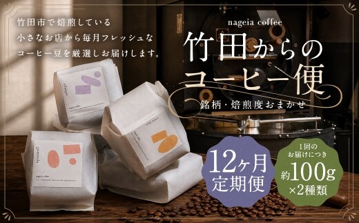 【 12ヶ月定期便 】 竹田からのコーヒー便 約100g × 2種類 ( 銘柄 ・ 焙煎度おまかせ )