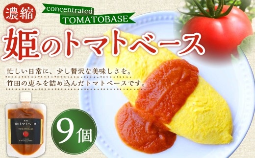 濃縮 姫のトマトベース 9個入り ( 160g × 9個 )
