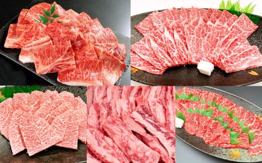 【5ヶ月定期便】毎月届く焼肉セット!おおいた和牛焼肉セット 計約4.2kg