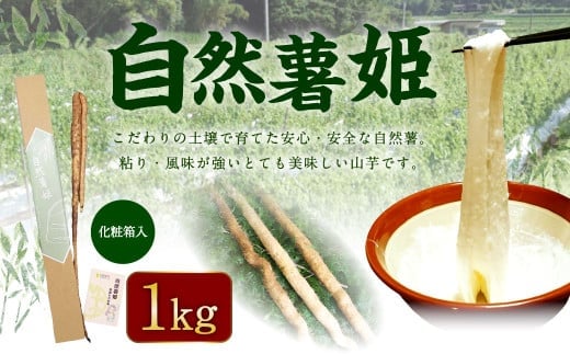 自然薯姫 （青果） 約1kg 【発送不可期間:毎年4月下旬-11月上旬】