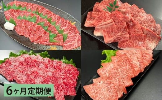【6ヶ月定期便】 【盛々焼肉食べ比べ】 おおいた和牛(赤身・肩ロース・上カルビ・ミスジ) 各約800g 計約3.2kg