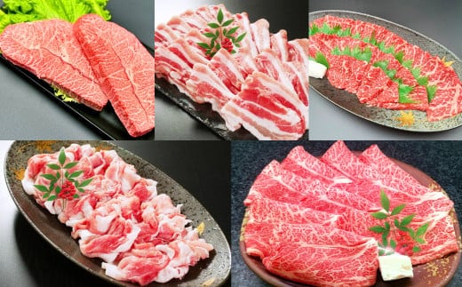 【5ヶ月定期便】5ヶ月で食べ比べ!大分県食べ比べセット 計約2.6kg