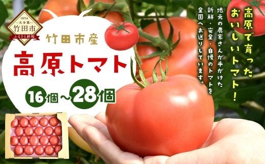 【竹田市産】高原トマト 16~28個 【2026年5月下旬-2027年1月上旬発送予定】