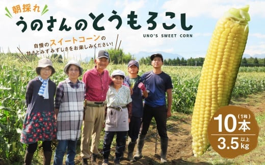 【卯野農場】産地直送!生でも美味しい 朝採れ スイートコーン 10本 3.5kg以上 とうもろこし コーン 【2026年7月上旬-8月下旬発送予定】