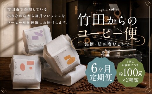 【 6ヶ月定期便 】 竹田からのコーヒー便 約100g × 2種類 ( 銘柄 ・ 焙煎度おまかせ )