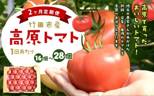 【2ヶ月定期便】 竹田市産 高原トマト 16個~28個 【2026年5月下旬-2027年1月上旬発送予定】
