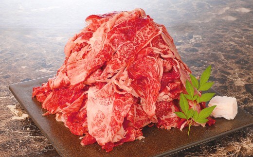 おおいた和牛 切り落とし 約500g×2パック 計約1kg